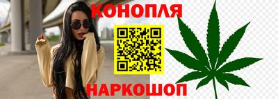 крисы Кимры