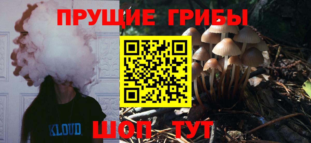 Галлюциногенные грибы Cubensis  Вход с VPN  Краснодар 